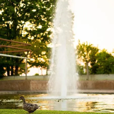 Farm stay Corte D'acqua *
